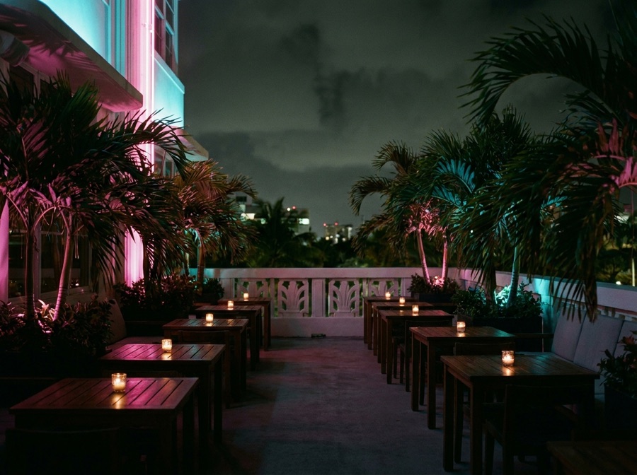 Terrasse de nuit, palmiers éclairés au néon rose et cyan